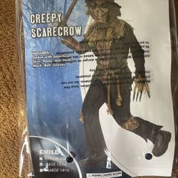 Scarecrow Costume