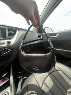 mini payton coach bag
