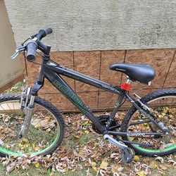 Schwinn 21 Speed BIKE Used