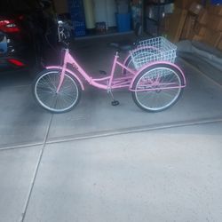 3 Wheel Bicycle 