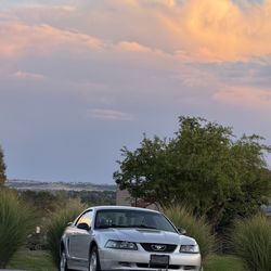 2001 Ford Mustang