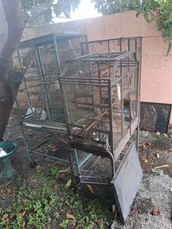 Bird cages