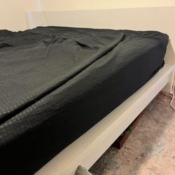 California King Helix Twilight Lux