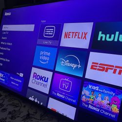 55” Insignia TV  W/ Roku Stick
