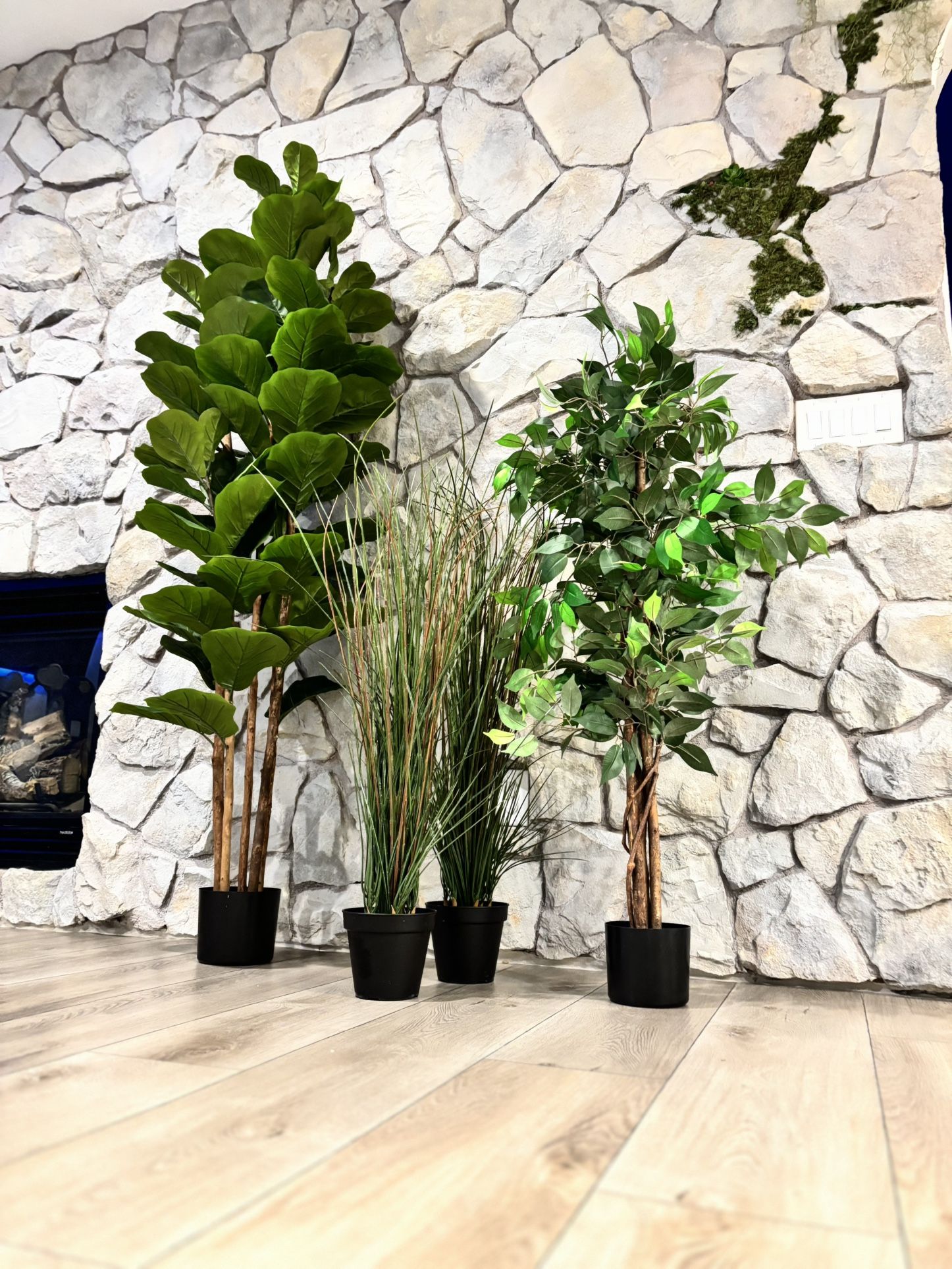 Set of 4 Beautiful Decorative Indoor $85(Set Only)