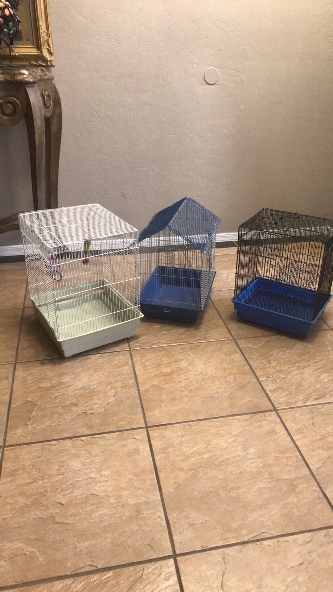 Bird cages 🦜