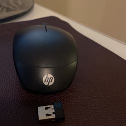 HP Wireless Mouse