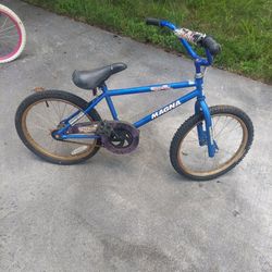 Magna Mud Shark Boys Bicycle