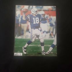 2000 Upper Deck,  Peyton Manning  Autograph  Photo 16x20, Original Protector  Sleeve Work Order # 26629-FG 