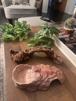 Snake enclosure