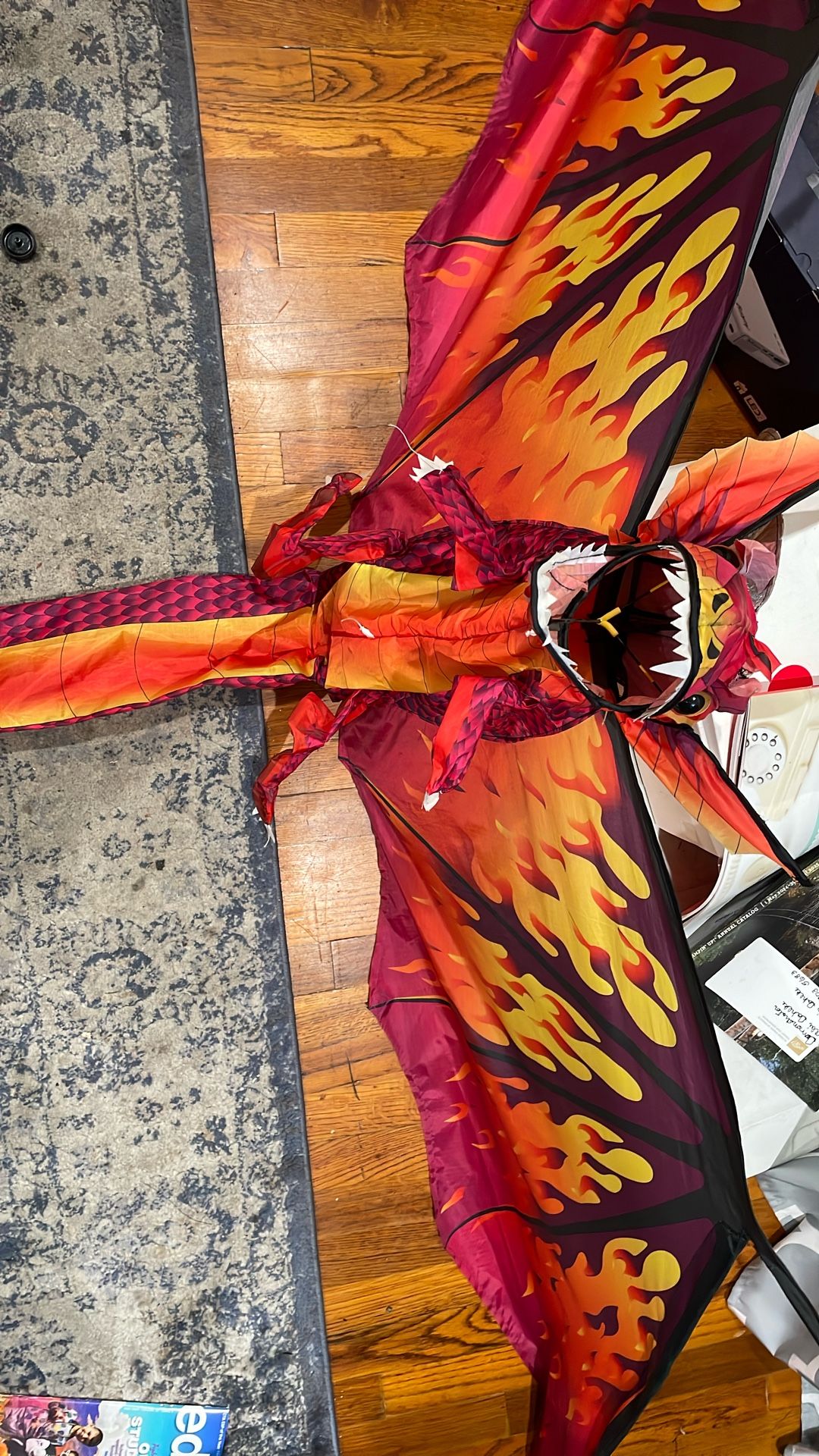 Large Dragon Kite Will Go Fast