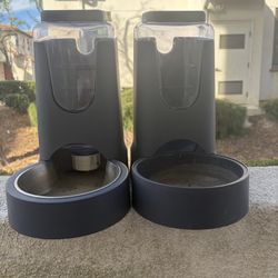 Dog Food And Water Bowl 