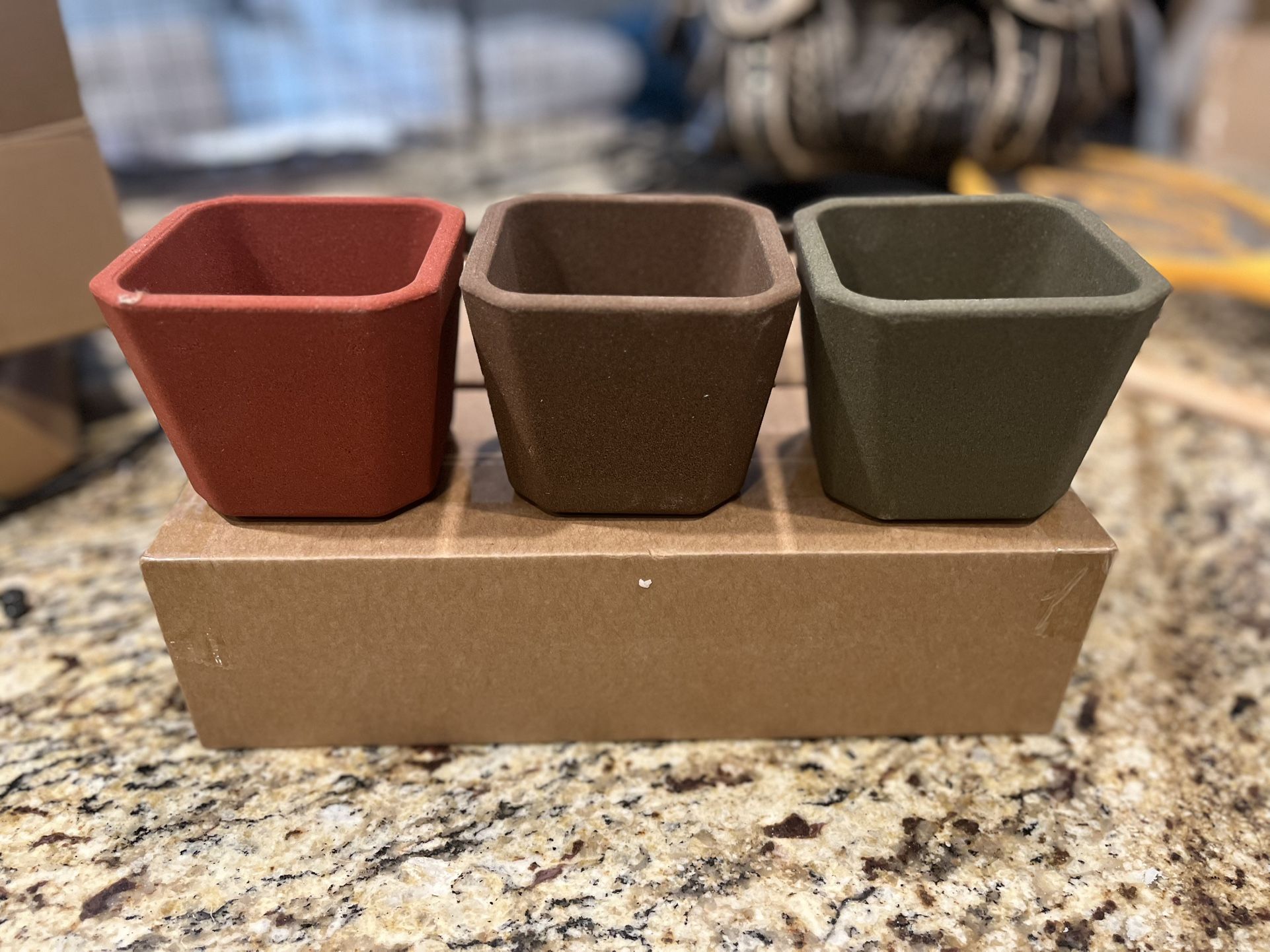 NEW!!  3 Pc Adorable 4” Potting Plants $7 (#113