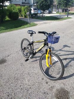 Bicicleta #24