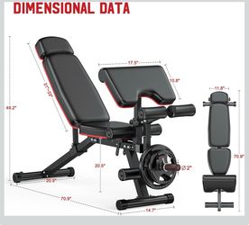 Workout bench