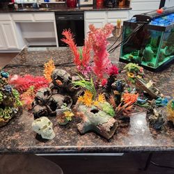 Aquarium Decor