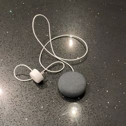 Google Nest Mini