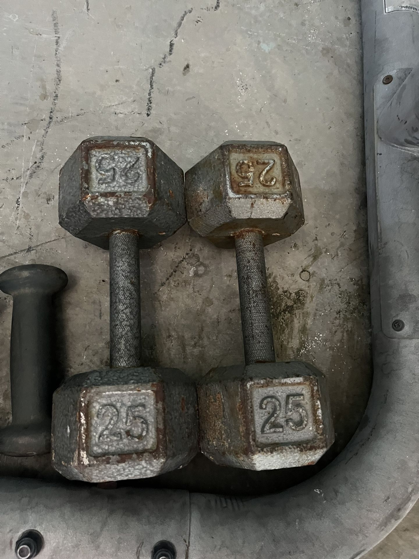 Olympic Weights/Workout Equipment