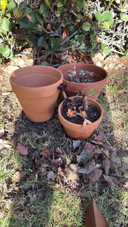 Terracotta clay pots- 3 left