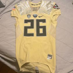 Ducks Team issued 2015 Jersey