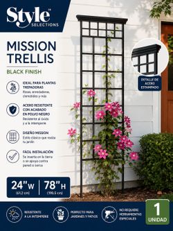 🌿 Style Selections Mission Garden Trellis – Black Steel – New