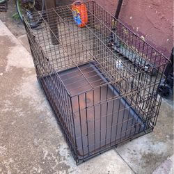 Dog Kennel 