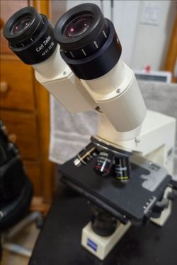 Zeiss Axiostar Plus Microscope