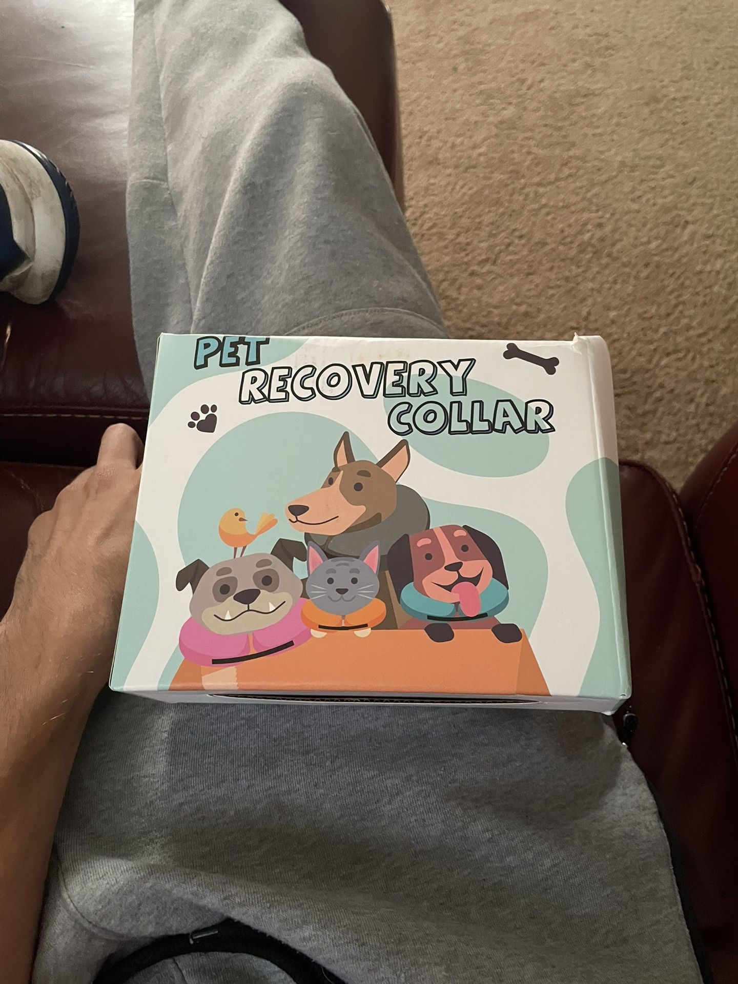 Pet Recovery Collar