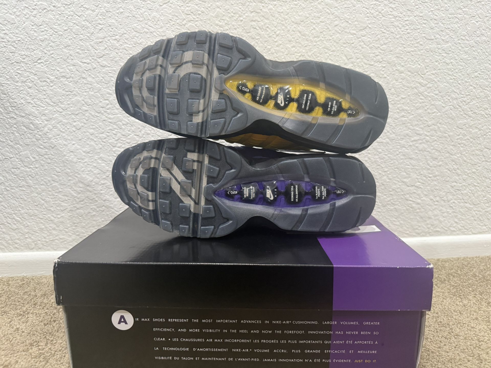 Nike Air Max 95 NRG LeBron Lakers Size 10.5