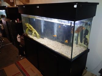 100 Gallon Visio Aquarium Fish Tank for Sale in El Monte CA OfferUp