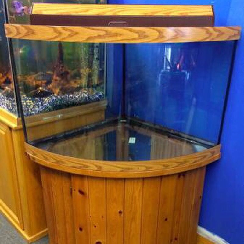 54 gallon corner Bow front Aquarium fish tank combo