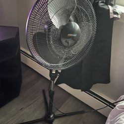 Fan