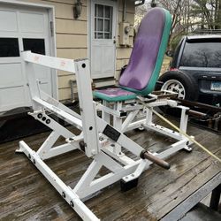 Hammer strength calf raise 