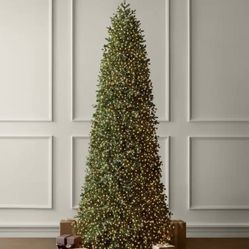 Home Decorators 12ft Elegant Twinkling Grand Fir LED Pre-lit Christmas Tree