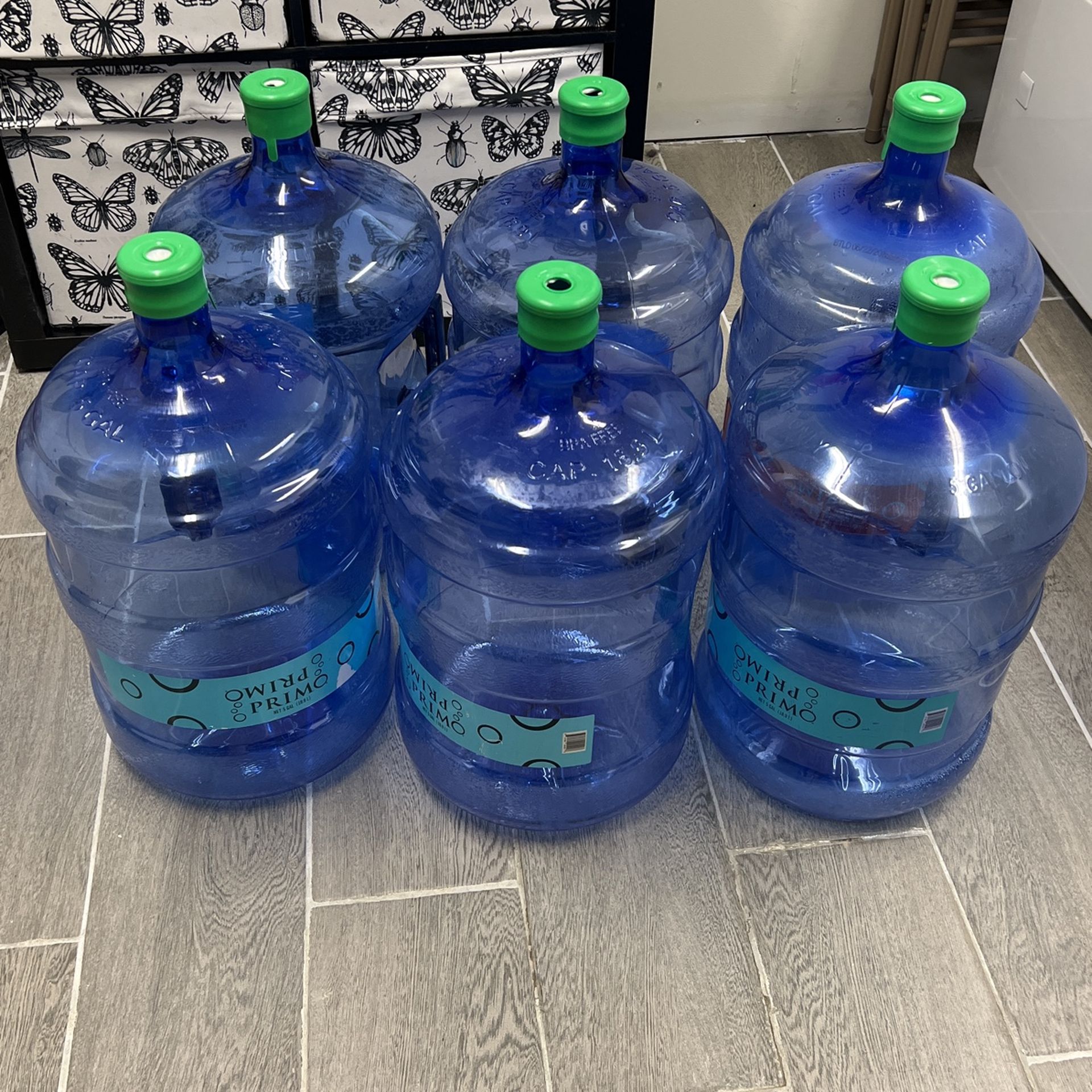 Empty 5 gal Water Bottles - qty 6