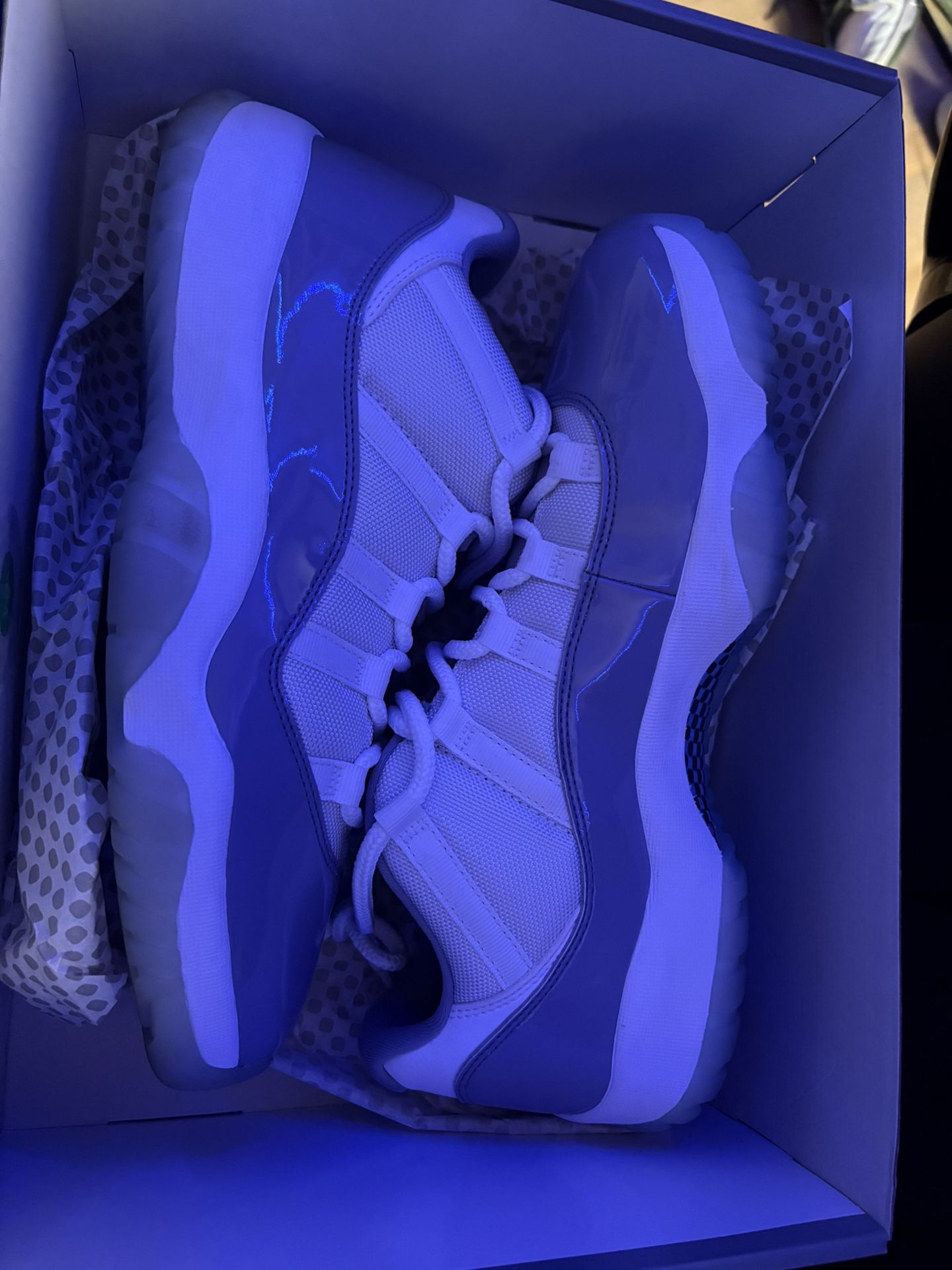 Jordan 11 Low Gray concorde