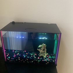 LED 3.5 Gallon Fish Tank