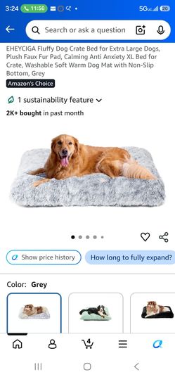 Dog & Cat Beds