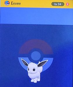 Shiny Eevee 