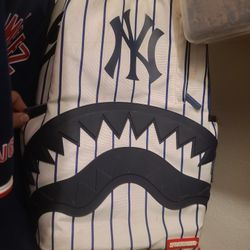 New York Yankee Spray Gorund Backpack