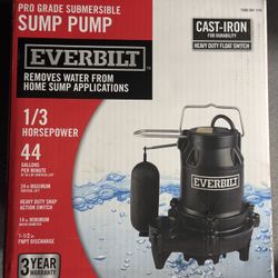 Sump Pump Everbilt