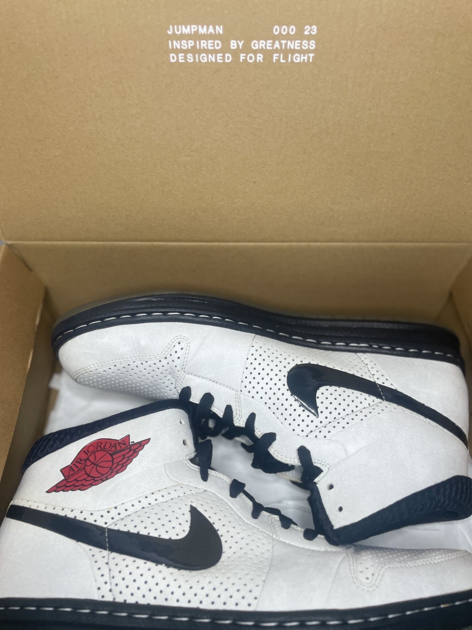 Jordan Alpha 1 White