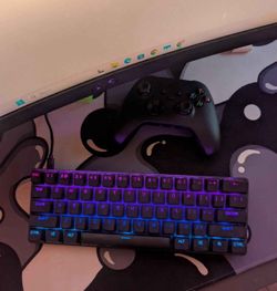 Keyboard and mouse