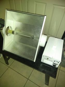 1000 watt grow light