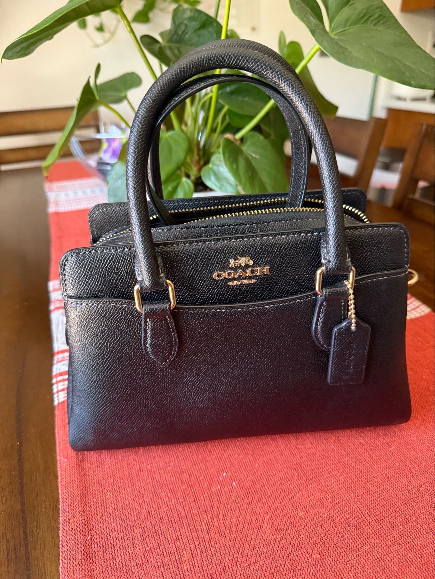 Coach Mini Darcie Carryall Bag