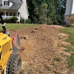 Stump Grinding 