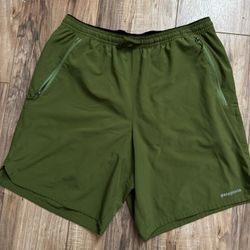 Patagonia Shorts (Medium)