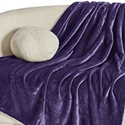 BLANKET TWIN 60x80 BEDSURE