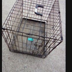 Dog Kennel 