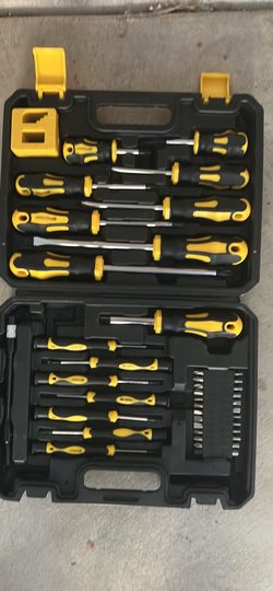 Screwdriver and Bit Set with Carrying Case